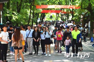 全員上崗服務(wù) 小長(zhǎng)假首日麓山景區(qū)迎客流小高峰