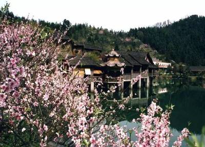 城鎮(zhèn)之源丨景區(qū)精細(xì)化管理如何實現(xiàn)?