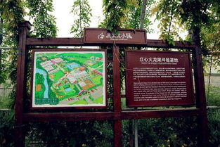 江浙滬周邊又有親子遛娃好去處 米果果小鎮(zhèn)