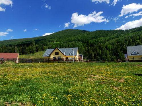喀納斯有哪些游覽景點 喀納斯怎么游玩及線路