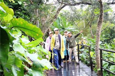 &ldquo;國研&middot;斯坦福&rdquo;師生走進呀諾達,領略雨林魅力